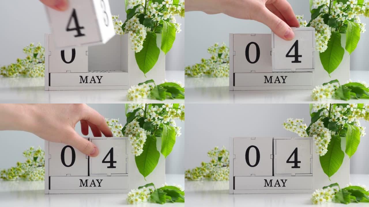 春季5月4日女人的手翻过一个立方历法。樱花盛开的桌子上的白色万年历。在一个月内更改日期。假日日。日历