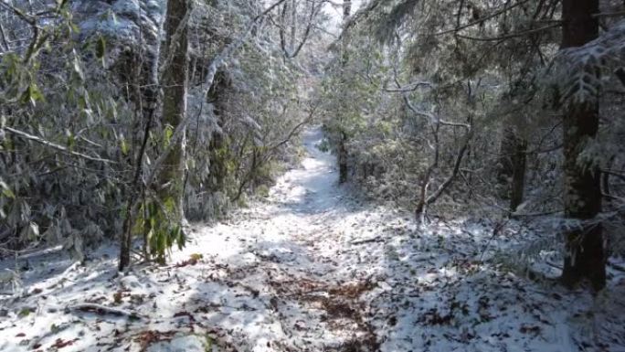 在森林中爬下积雪覆盖的小径