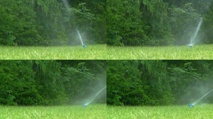 绿色公园的灌溉系统