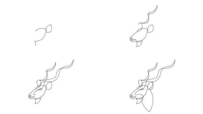 大库杜羚羊头一幅单线图的动画标志。国家保护公园图标的角哺乳动物吉祥物概念。连续线自画动画。