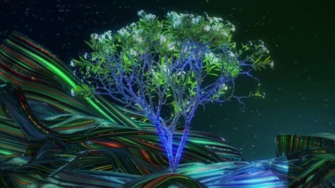 生命之树科技树一颗大树视频素材
