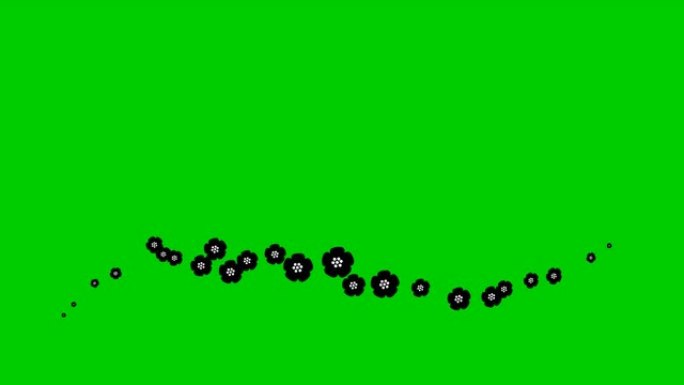 动画黑色美丽的花朵从左到右飞行。循环视频。春天的概念。绿底飘扬的樱花。