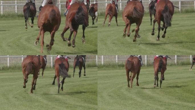 马匹在比赛中奔跑，获得第一名。慢动作赛马。