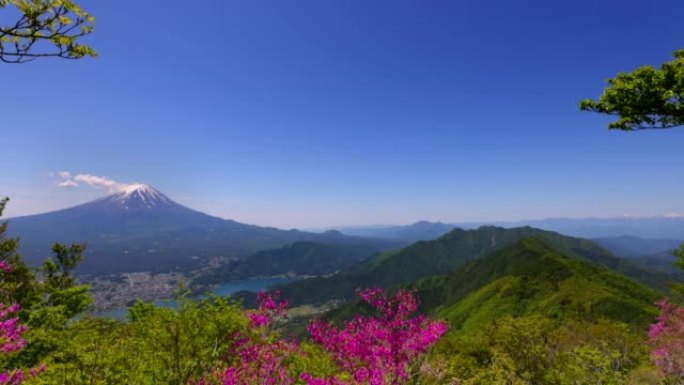 从新鲜的绿色黑达克天文台看到的富士山