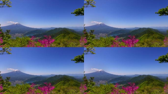 从新鲜的绿色黑达克天文台看到的富士山