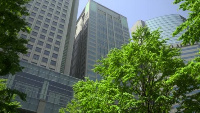透过清新的绿树可见的现代化办公楼