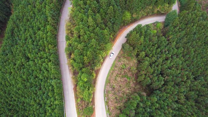 盘山公路 森林公路