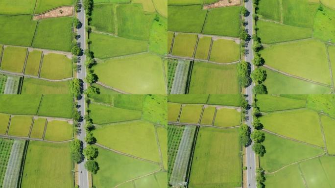 稻田耕作的农业鸟瞰图