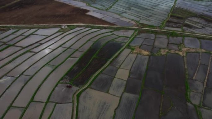 稻田的鸟瞰图水稻田粮食丰收粮食安全