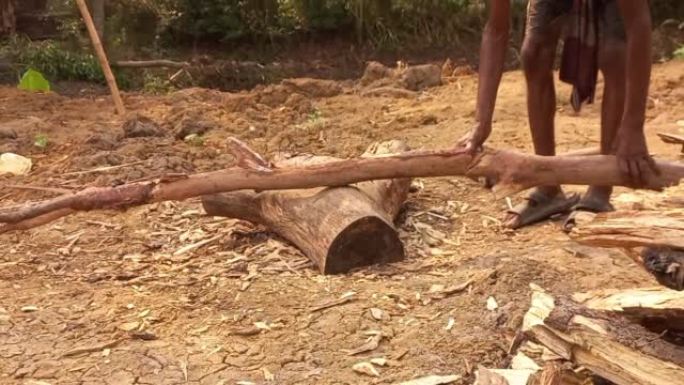 印度乡村体力劳动者用斧头劈柴或砍柴，用斧头劈柴。