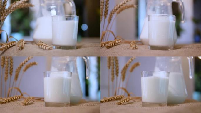 古辛中的牛奶和乡村背景下的玻璃杯中的天然牛奶饮料在稻草袋上的玻璃杯中旋转在桌子上
