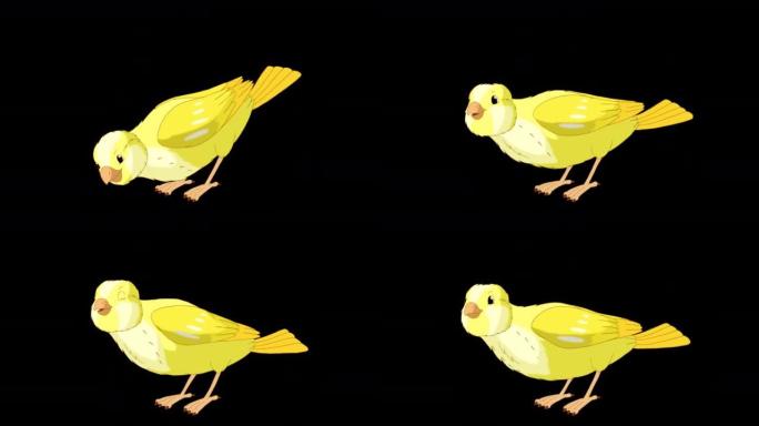黄色金丝雀啄木鸟颗粒阿尔法哑光高清