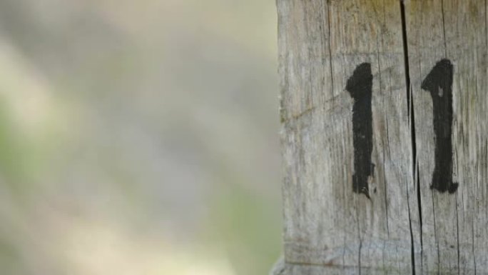 爱沙尼亚木杆上的十一号标记