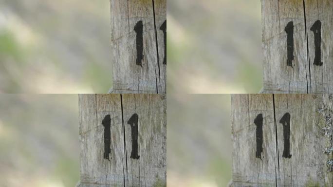 爱沙尼亚木杆上的十一号标记