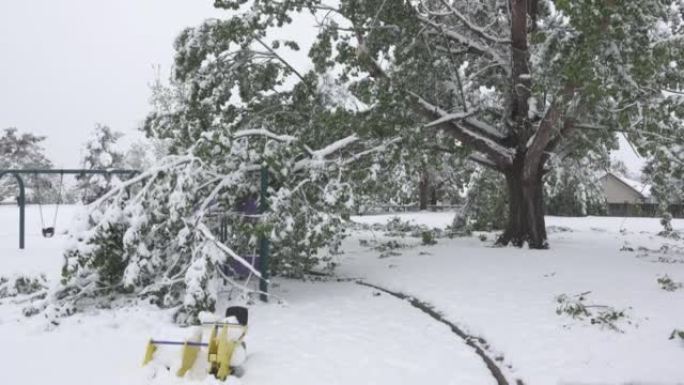 春末的暴风雪打破了丹佛科罗拉多公园游乐场的树枝