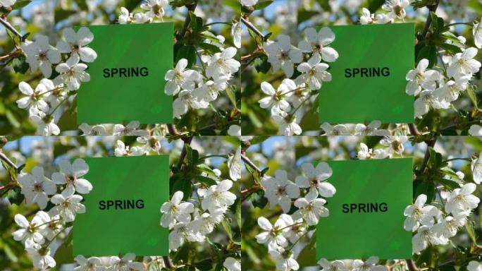 上面写着春天这个词的绿色便签被一根上有樱花的树枝举起。