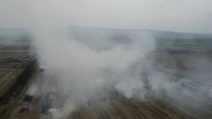 旱季农田秸秆燃烧浓烟污染空气的农业废篝火的鸟瞰图导致全球变暖，收获后与燃烧农艺田发生事故，干麦茬着火