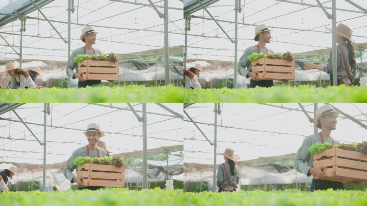 亚洲美女农民在蔬菜水培绿色农场工作。迷人的女农业工作者拿着一篮子沙拉，带着幸福走在温室里。农业经营理