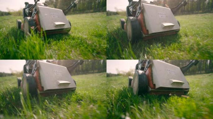 低角度: 在阳光明媚的日子里，电动割草机被推挤在杂草丛生的草坪上