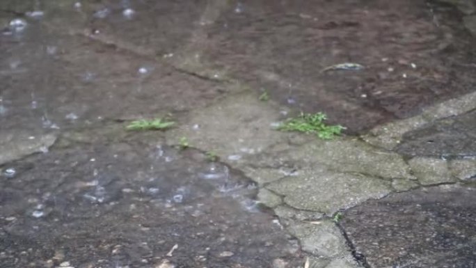 雨水滴落在鹅卵石上，植物在春季暴风雨中形成水坑-特写效果，带有忧郁和悲伤的感觉