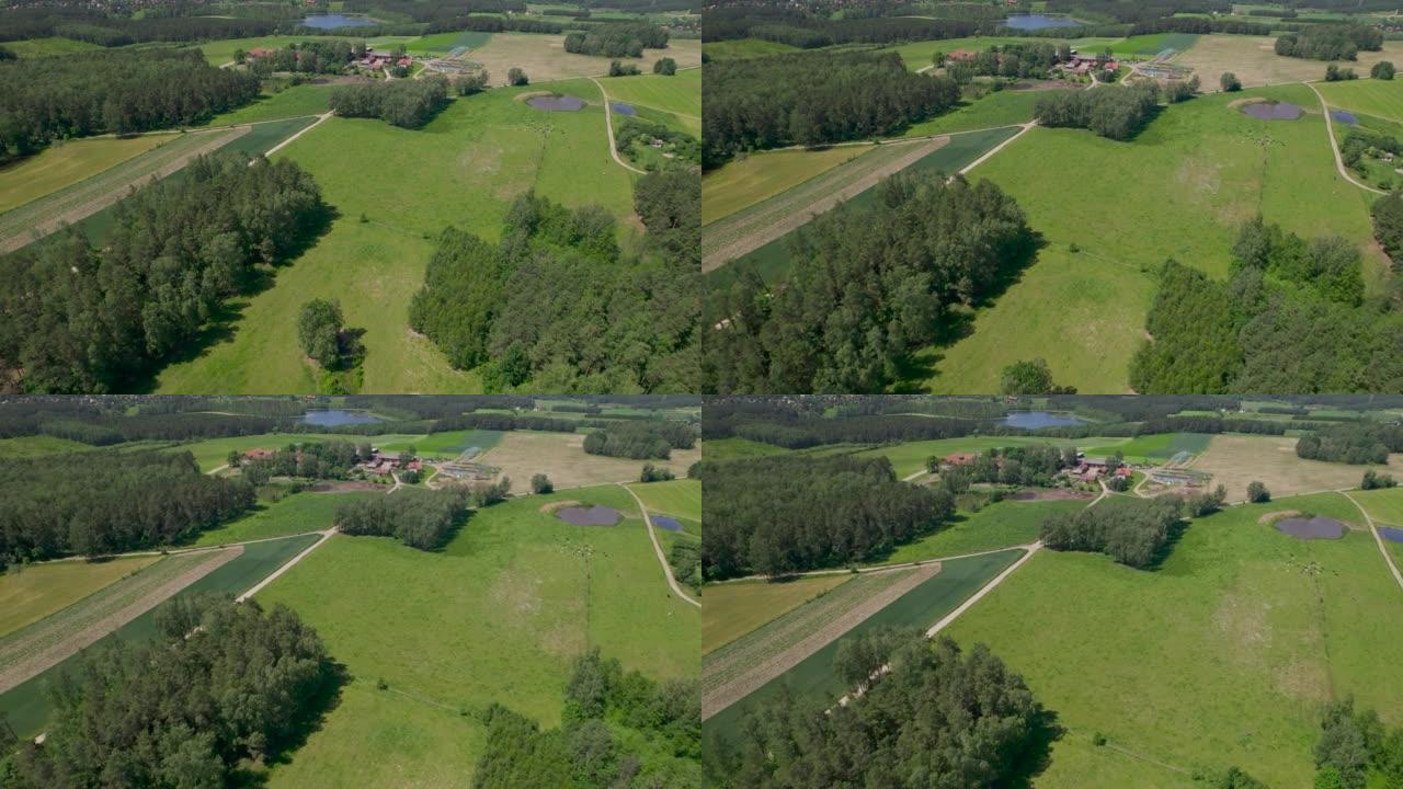 欧洲家庭农场变成波兰的绿地。鸟瞰农舍，丘陵田地树木森林农业场。鸟瞰图乡村景观。波兰农场，乡村风光农田