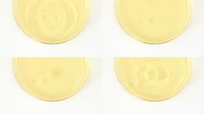 透明黄色化妆液缓慢滴入玻璃培养皿。化学实验室研究。天然有机化妆品、药物的宏观拍摄。生产特写。