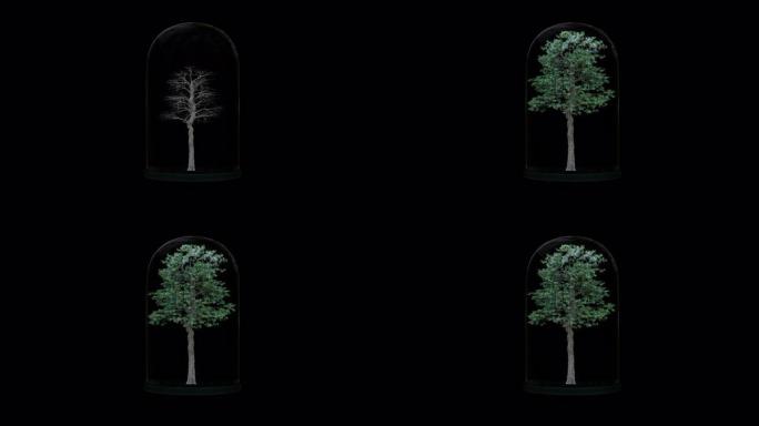 玻璃灯笼动画中的树
