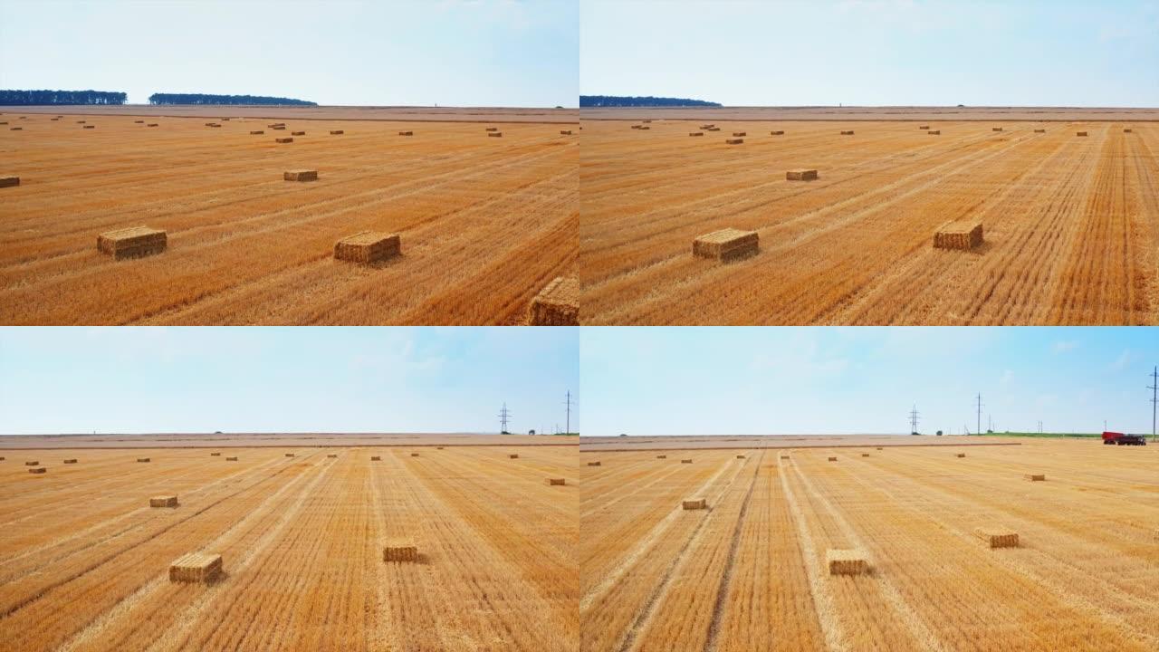 收割后干燥麦田。在充满干草的农田上盘旋。背景下的农业机械。