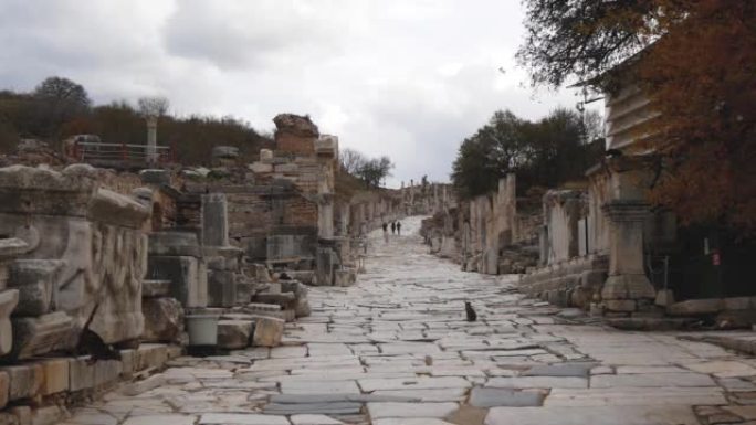 古希腊城市的街景，有石头建筑遗址和散步的猫 (以弗所，土耳其)