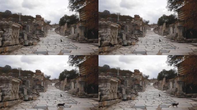 古希腊城市的街景，有石头建筑遗址和散步的猫 (以弗所，土耳其)
