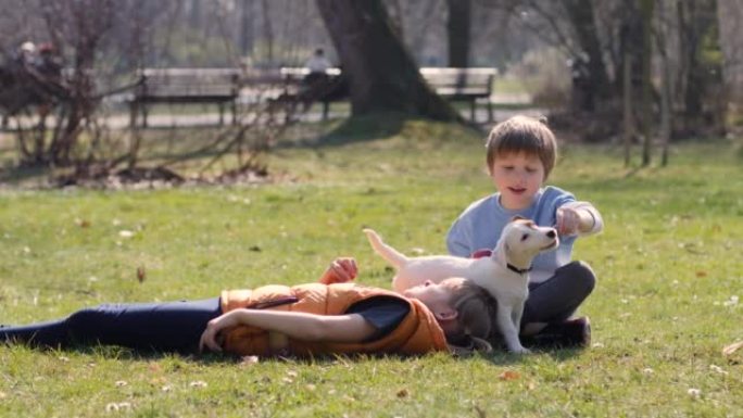 哥哥和姐姐孩子在公园玩小宠物狗男孩吃苹果水果女孩喂动物
