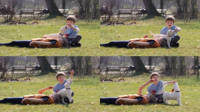 哥哥和姐姐孩子在公园玩小宠物狗男孩吃苹果水果女孩喂动物