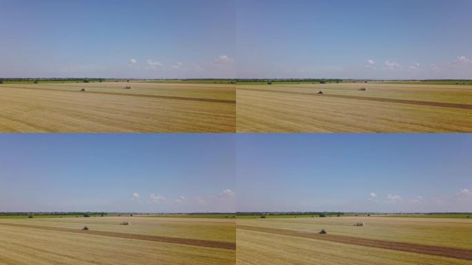 夏季在大片小麦上的联合收割机和拖拉机工作