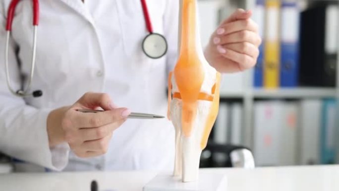 创伤专家在临床上检查小腿和膝关节的模型