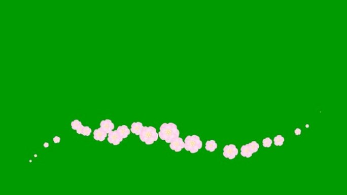 动画粉红色美丽的花朵从左到右飞行。循环视频。春天的概念。绿底飘扬的樱花。