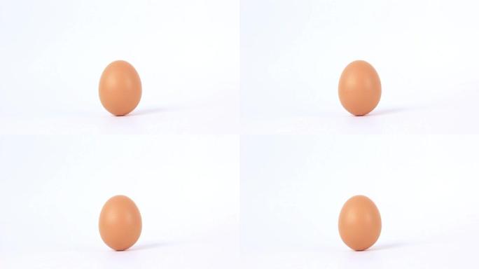 白色背景设计上孤立的鸡蛋。