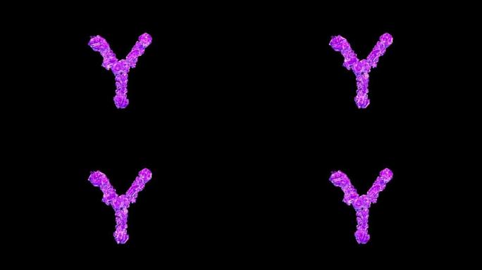 紫色宝石字母Y在黑色孤立循环视频上带有动画反射