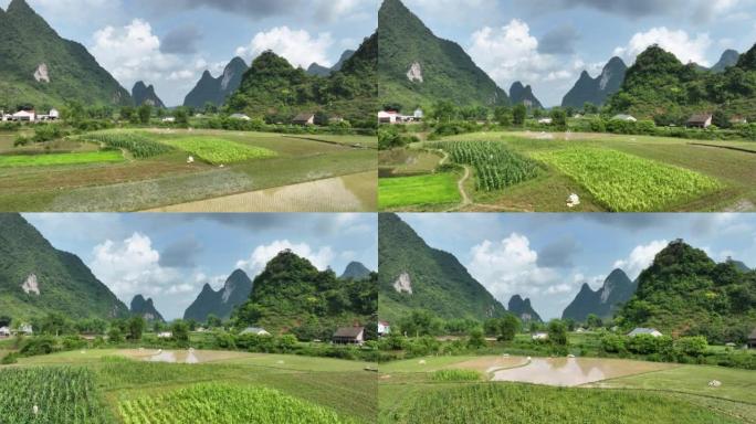 越南曹邦Trung Khanh区Phong Nam的稻田和千山奇形山的空中无人机视图