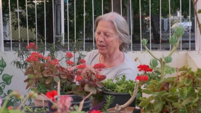 老年妇女在阳台上照顾花朵