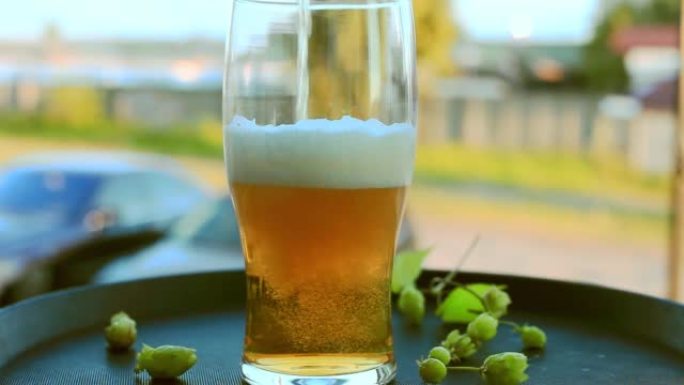 淡金色啤酒从托盘上的绿色啤酒花倒入玻璃中