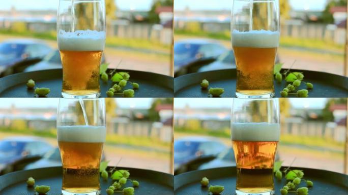 淡金色啤酒从托盘上的绿色啤酒花倒入玻璃中
