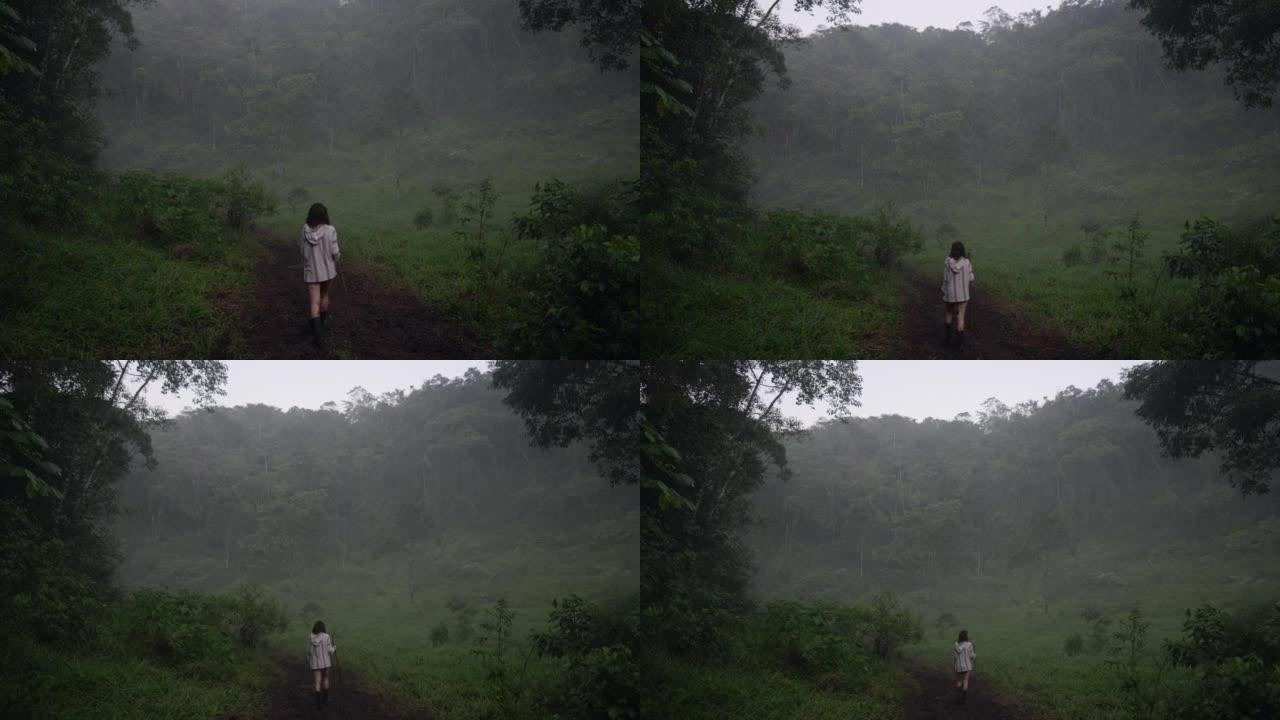 女人在雾中的丛林中徒步旅行