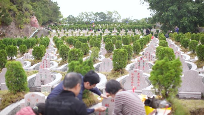 清明公墓祭祖拜山扫墓