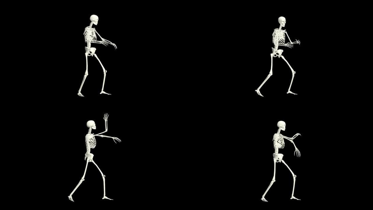 骷髅舞蹈3D动画