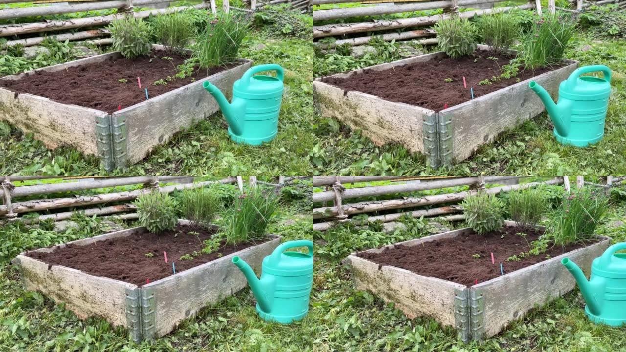 花园中种植草药的托盘项圈旁边的浇水罐