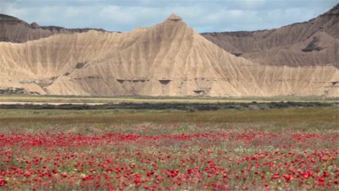 Bardenas reles荒地红花平原山金字塔西班牙