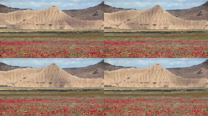 Bardenas reles荒地红花平原山金字塔西班牙