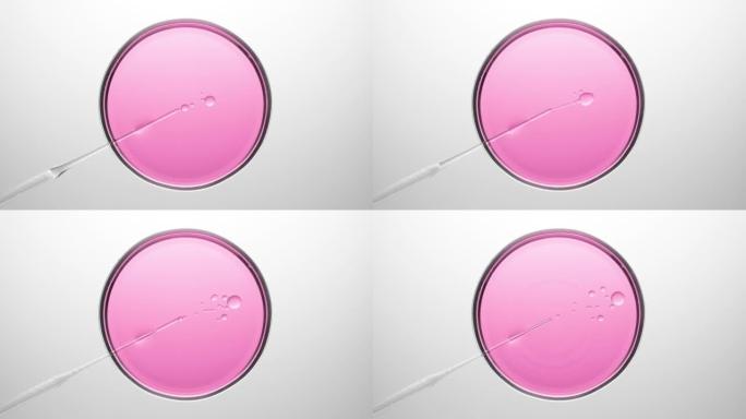 化学滴管将油注入培养皿中的粉红色液体中