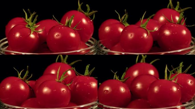 红色樱桃番茄红色稀有番茄营养番茄