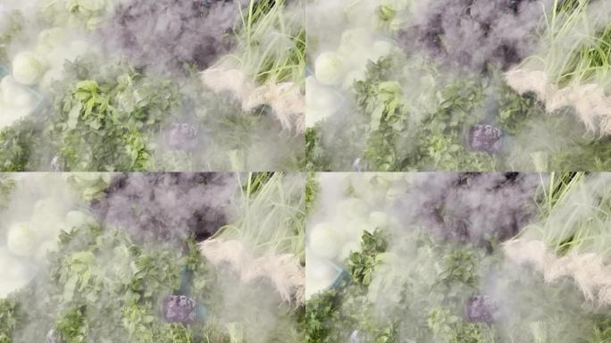 水雾在新鲜蔬菜上蒸腾